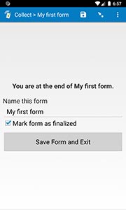 Finalizing a form