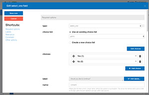 Choices worksheet (form designer)