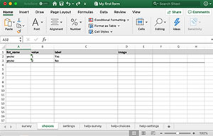 Choices worksheet (spreadsheet)