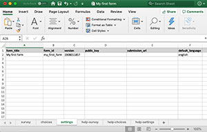 Settings worksheet (spreadsheet)